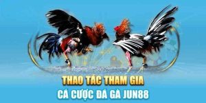 đá gà thái lan